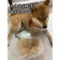 「第一次一百多、这次洗澡128+剪毛178」撞上「烘干箱999档位明晚开闸」：双11美容对账党，把预算交给吹水机之前，先把价梯、回本、翻车这三本账对完