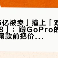 「2.85亿被卖」撞上「双11晒单3568」：蹲GoPro的抄底党，付尾款前把价梯、黑屏、残值这三本账对完