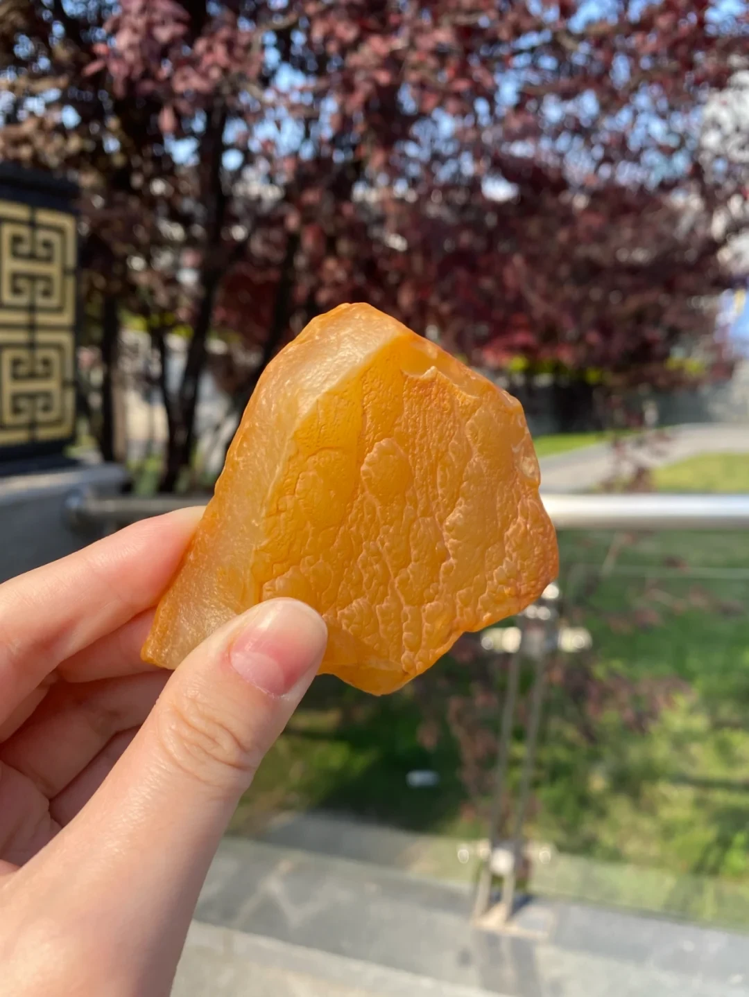 捡到的石头值几百万?说这话的人盯的是你的鉴定费