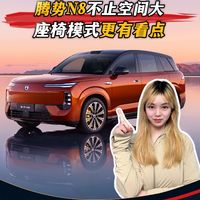 腾势N8，重点不只是空间大