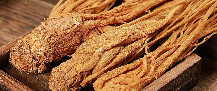 当归分头身尾，在本草记载里，它们的意象不一样