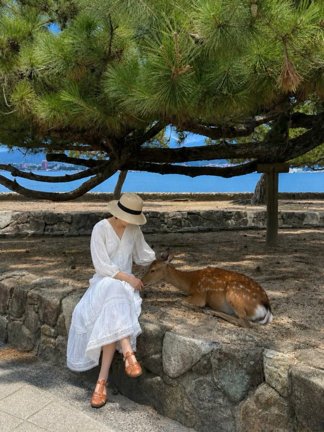 第一次一个人旅行,别光看vlog上头:去哪座城、睡哪张床、不越哪条线,上万条亲历评论替你吵完了