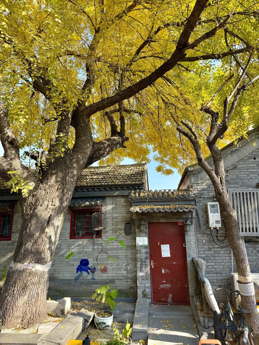 胡杨黄了、太行红了:秋色
