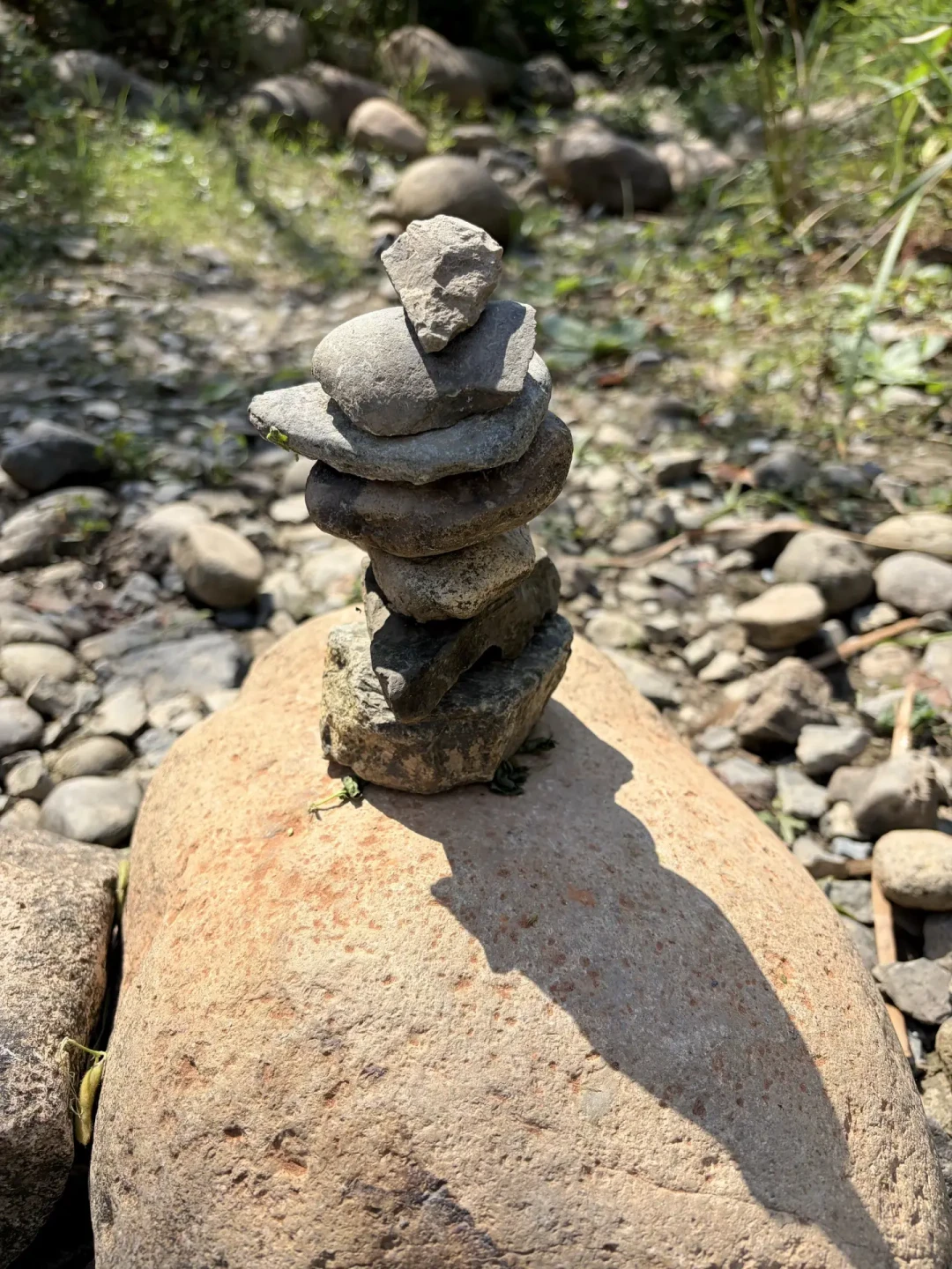 水退石头出:枯水期捡石窗口开了,但涨水比你想象的快