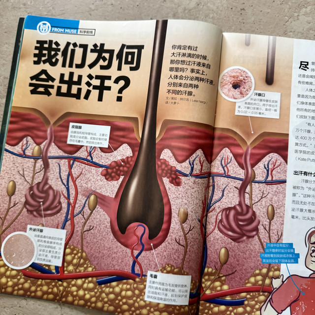 订早吃灰、订晚吃亏？《好奇号》先别急着下单，看清6到12岁这条阶梯