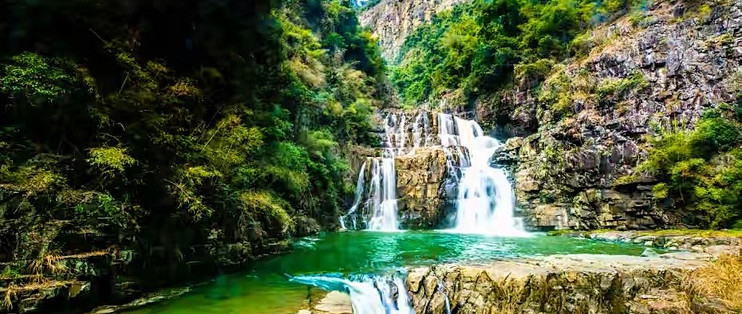 海参什么品牌好：三款干海参的对比思路与适用边界