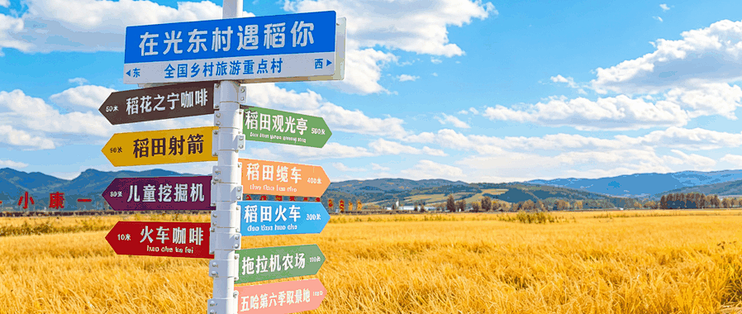 跟着央视镜头去光东村，秋收研学能学到什么