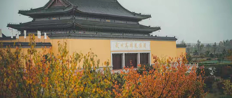分离乳清蛋白粉怎么挑？国产产品看原料与成品数据
