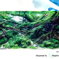 2026 IAPLC 赛果公布｜无锡热植展明日开幕 | 绿植造景10.15日报