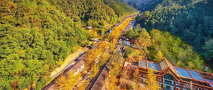 挑胶原蛋白肽这一年，我把十款产品的标签读了个遍