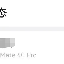 鸿蒙：对齐颗粒度，和安卓的功能对对齐，小绿书：你在教我做事