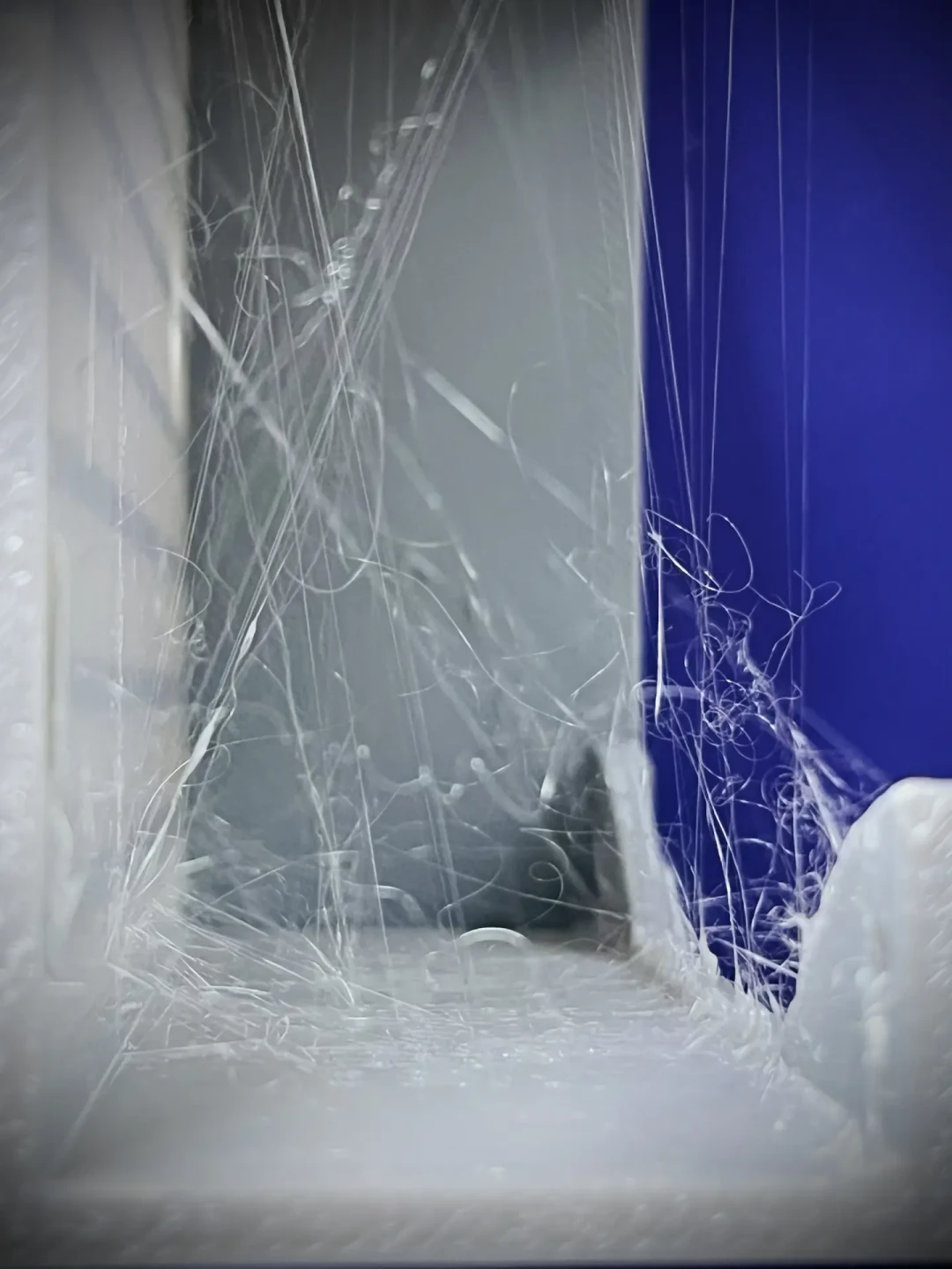 耗材泡水变盘丝洞?拓竹车主秋季烘干自救指南