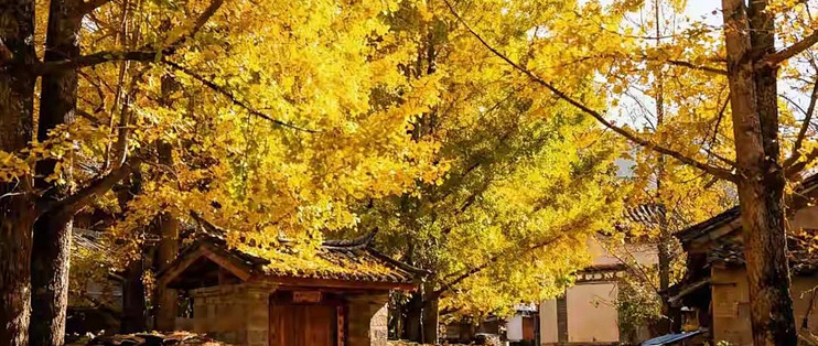 买干海参别被三个标签捆住：特级、辽参、有机各管一件事