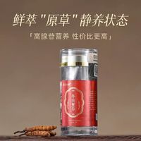藏地道地虫草✨任十问 1g 小瓶便携装