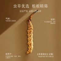 养生送礼体面款｜任十问冬虫夏草 1g 便携瓶🏔️