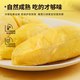【实测】田大叔泰国进口金枕冷冻榴莲肉，280g 榴莲 + 小金条组合