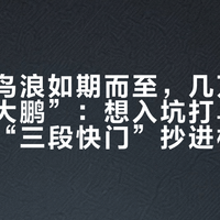 黄河口鸟浪如期而至，几万只鸟拼出“大鹏”：想入坑打鸟，先把防糊“三段快门”抄进相机、把四档焦段梯队分清，双11再动钱包