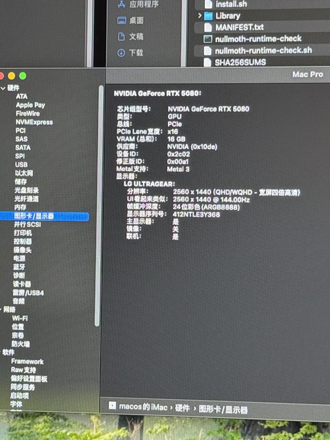 N卡重返macOS：黑苹果开源驱动刷屏那晚，先看清是谁写的、哪张卡验过、哪三坑要命
