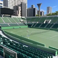 郑钦文退出大阪250赛：已购票务退改签与周边消费指南