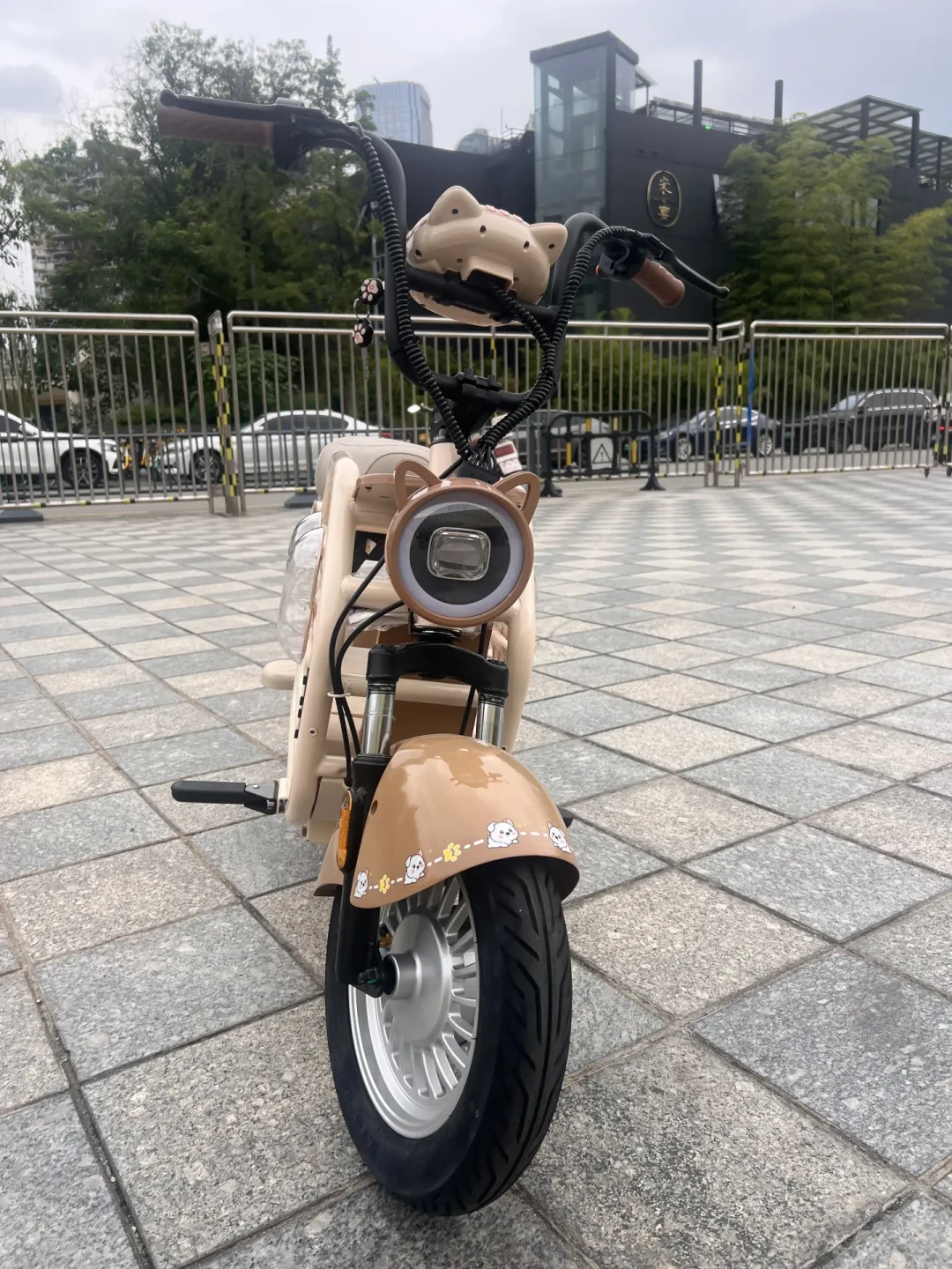 雅迪毛兜01