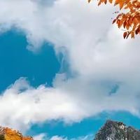 总被包装上的大数字绕晕?10款胶原蛋白肽按每次实际用量来选