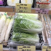 一颗白菜几十元？日本白菜成“高价菜”，与中国菜价数据对比