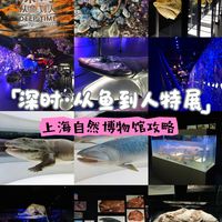 上海深时从鱼到人展览攻略🐠超值得去！