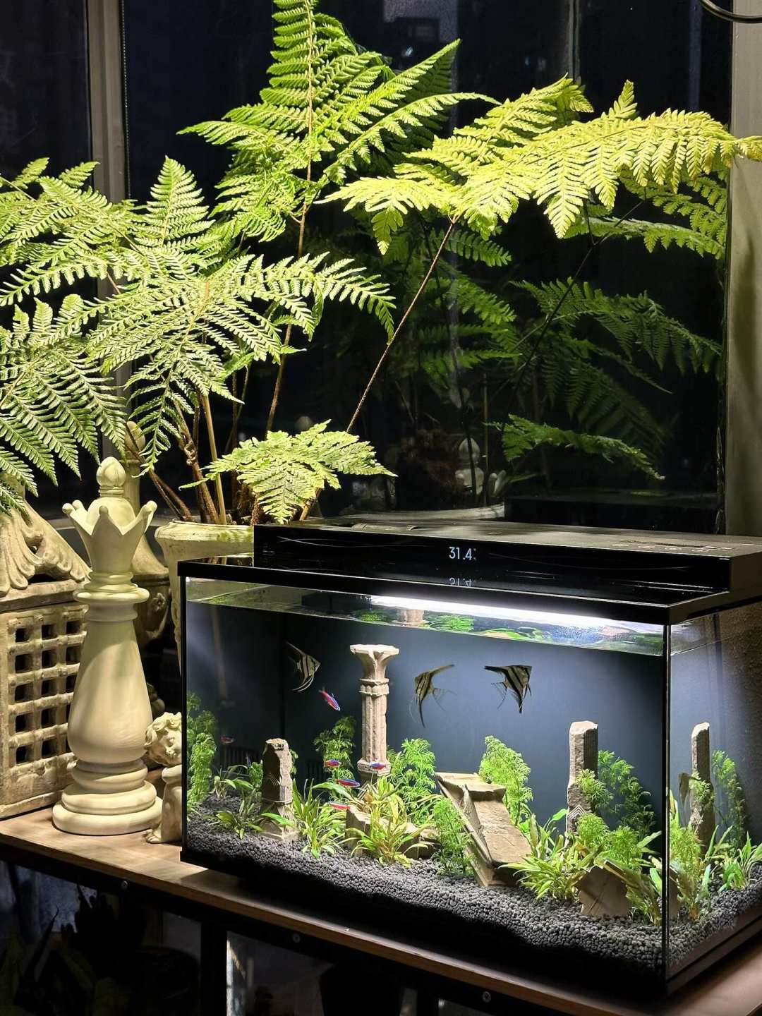 米家鱼缸2Pro开卖一个月:649元智能缸的造景边界,三招能用、三招别抄