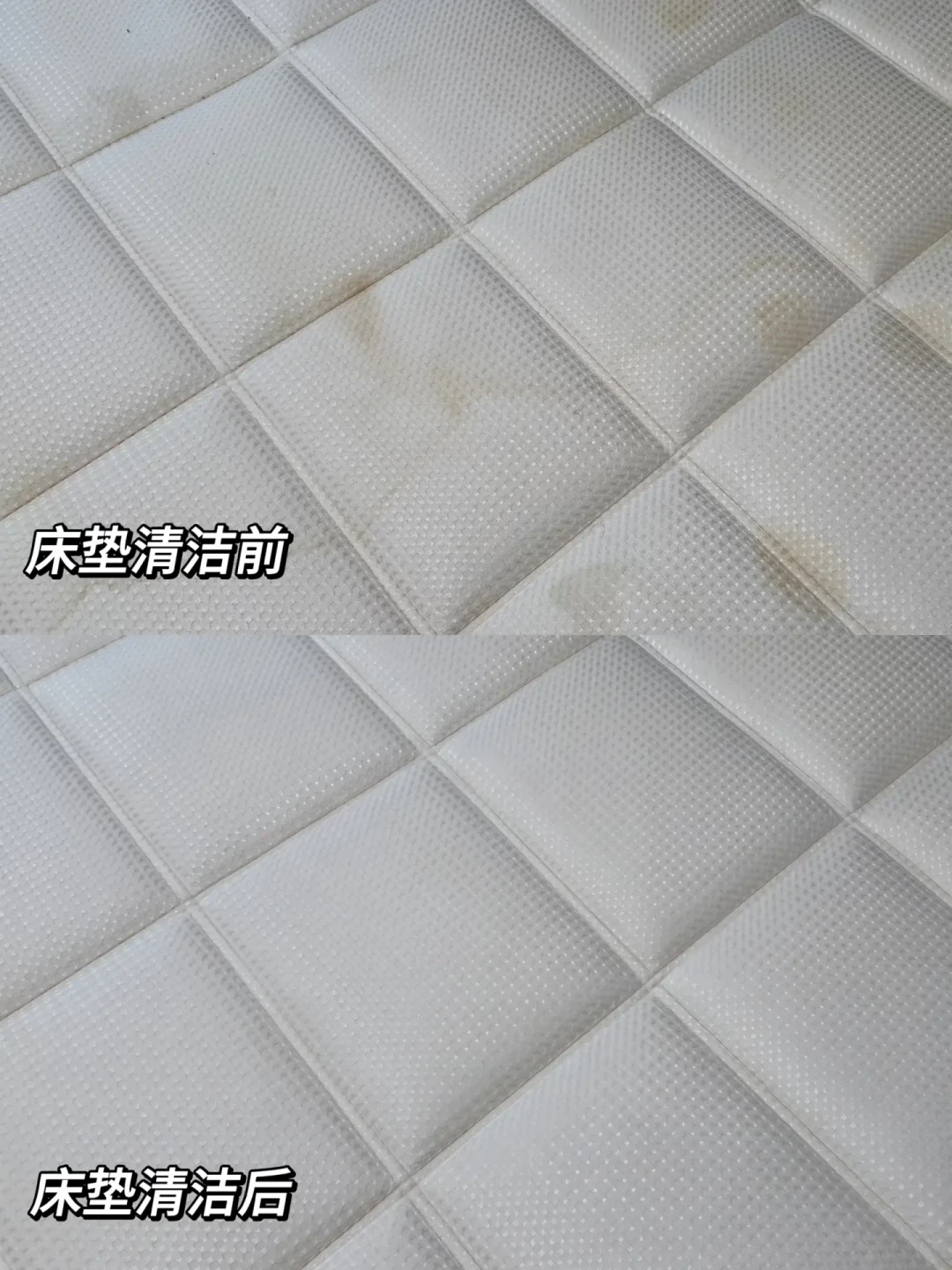双11刷屏的布艺清洗机:新渍救得了,老渍治不了,付尾款前先翻沙发水洗标