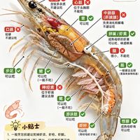 收藏！虾部位食用区分指南