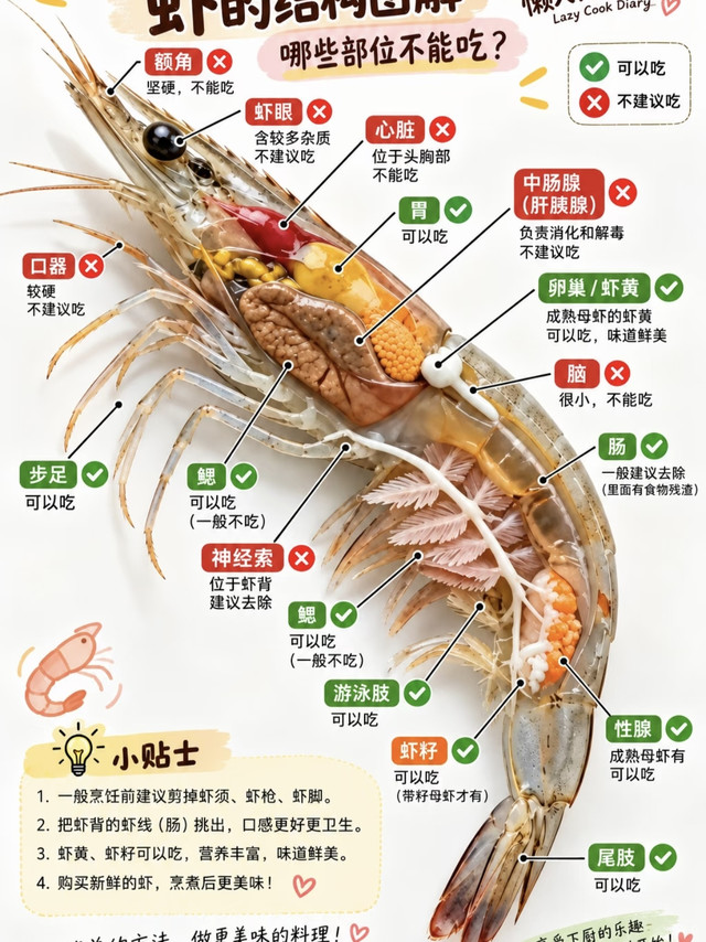 收藏！虾部位食用区分指南
