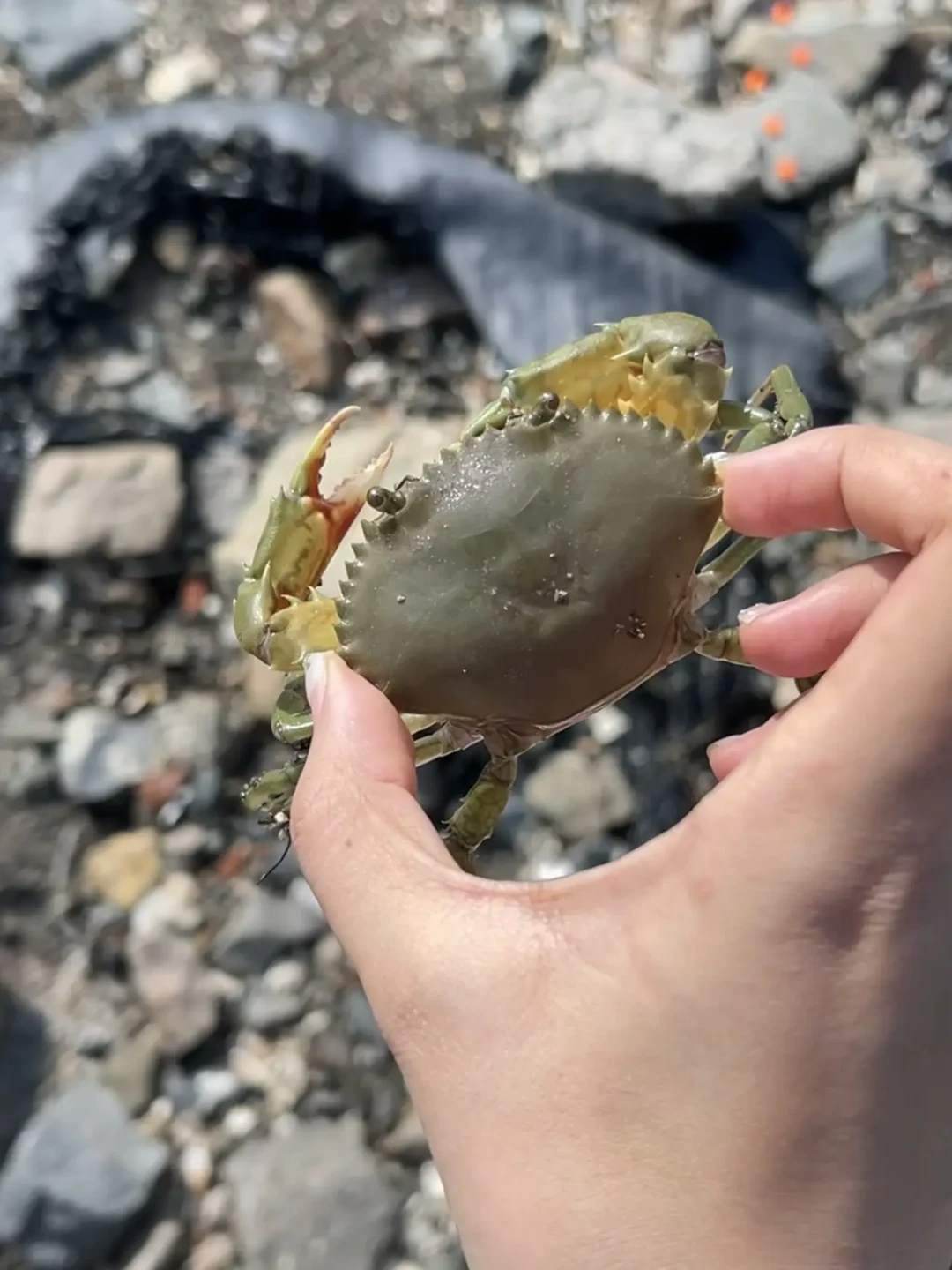 海鲈季就在眼前，淡水路亚装备能不能直接下海？对完1193条评论和一批近21万播放的问答，岸抛入海先算清这三本账
