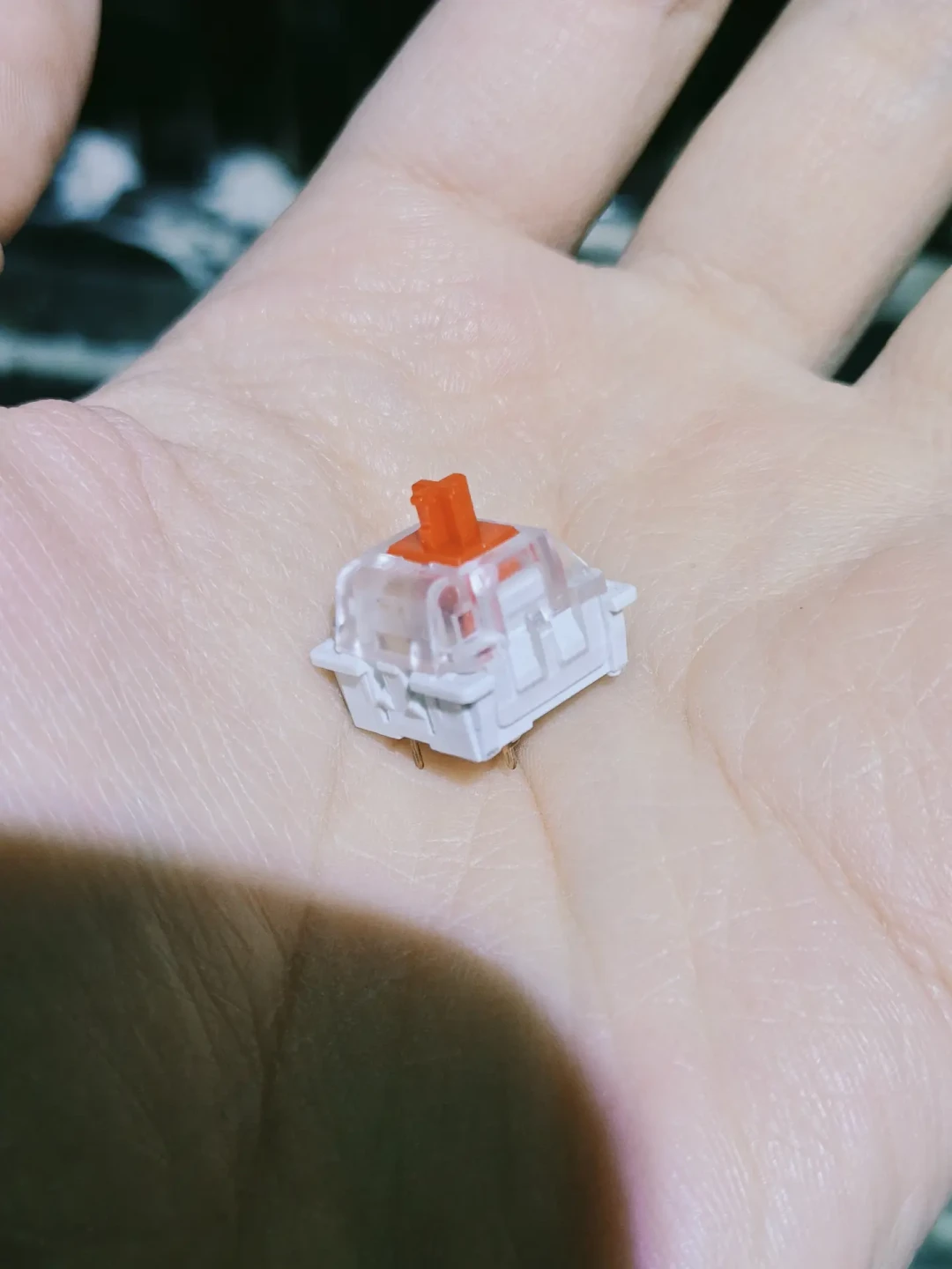闲鱼上标着