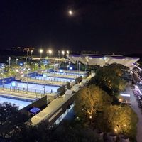 郑钦文退出WTA250大阪站:为何选择战略性赛程调整?