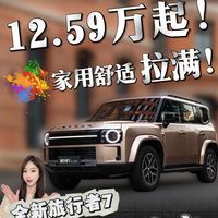 12.59万起!家用舒适拉满!全新旅行者7上市