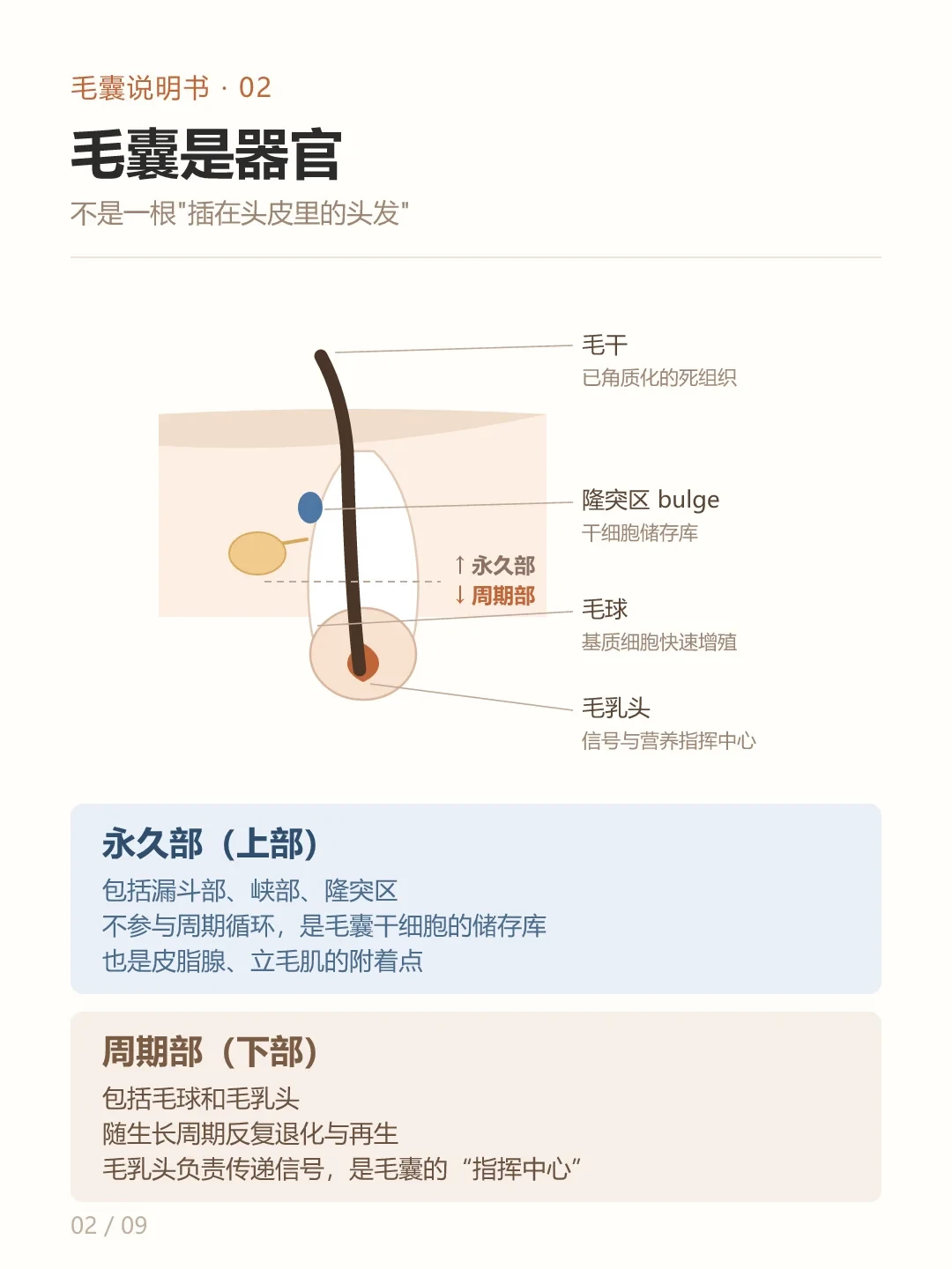 生物素还没帮你长出头发，可能先骗过了你的体检报告：双11囤NOW这瓶的人，先看完三条账