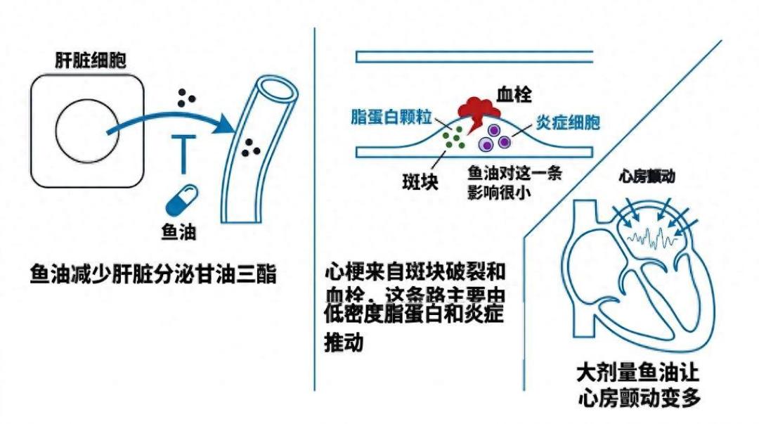 今晚给NOW小知己付尾款的先别急：四篇