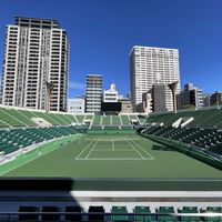 郑钦文退出WTA250大阪站:已购票球迷退票与线上观赛指南