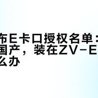 索尼公布E卡口授权名单：9家没有一家国产，装在ZV-E10上的永诺怎么办？