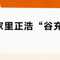 想让家里正浩“谷充峰用”？先把三本实测账算完：77%效率、0.3元价差和3000次循环