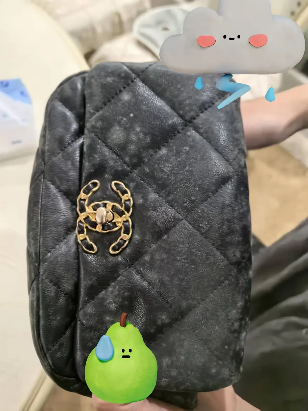 半个月十几条
