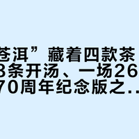 一个“苍洱”藏着四款茶:4个身份、8条开汤、一场26分争议——买70周年纪念版之前,先把这张桌摆完