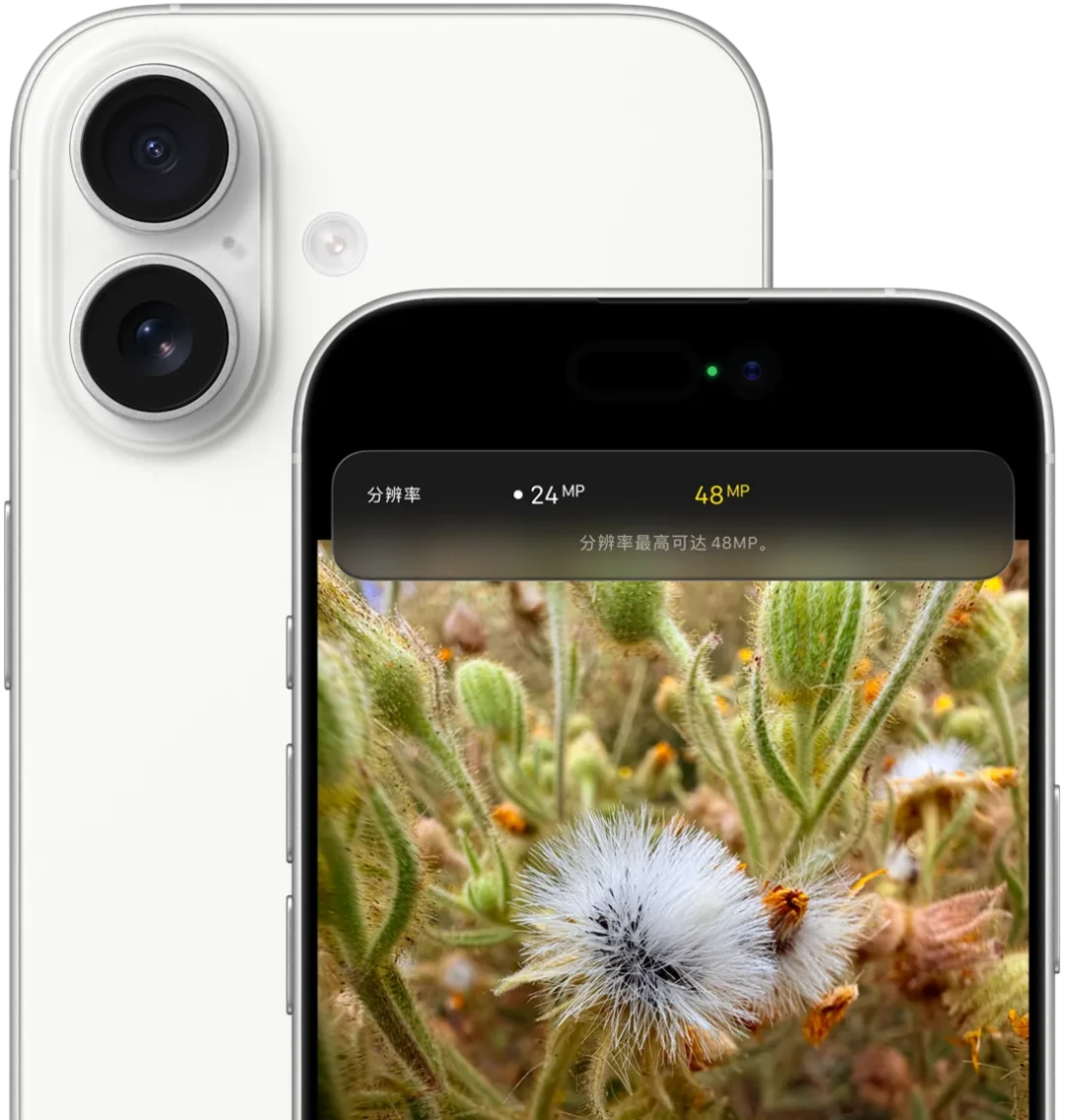 iPhone 17 立减 1000 是降在涨价后的基准上:苹果这个双11,只有一款是真让利