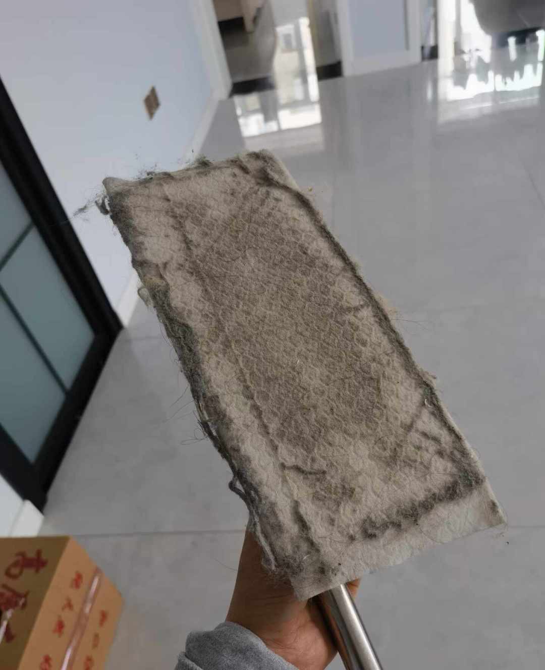 猫毛狗毛满屋飞,除毛工具要分开买吗?