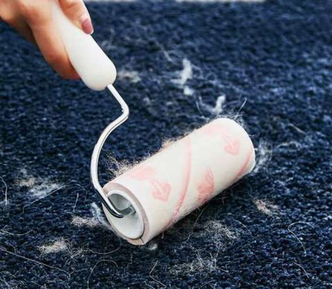 猫毛狗毛满屋飞,除毛工具要分开买吗?