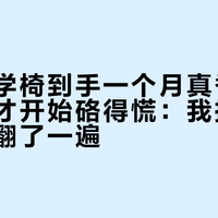 联丰工学椅到手一个月真香，坐满一年才开始硌得慌：我把全网用后报翻了一遍