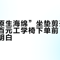 联丰“原生海绵”坐垫剪开是这样的：百元工学椅下单前，先把材料看明白