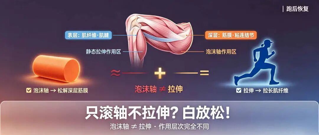 停练两周回来别急着补:重量降三成、组数砍一半,用三次课把身体接回来
