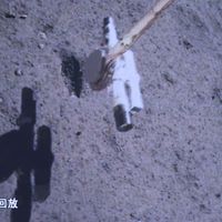 告别一级级扔？可回收技术正如何逼近一枚大火箭直飞梦想