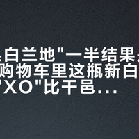 搜"苹果白兰地"一半结果是香水：双11购物车里这瓶新白兰地，背标的"XO"比干邑少陈4年，买法国苹果白兰地先对背标这三处
